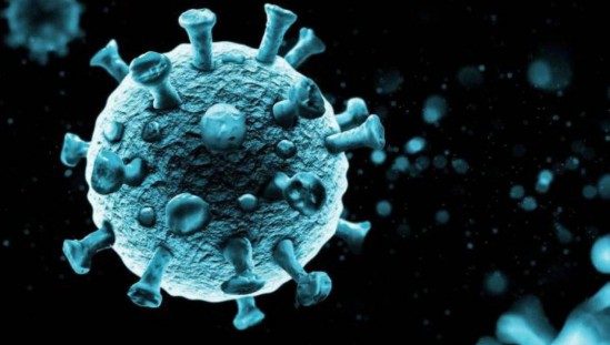 Covid-19: Rio registra 13 óbitos e 650 novos casos nas últimas 24 horas