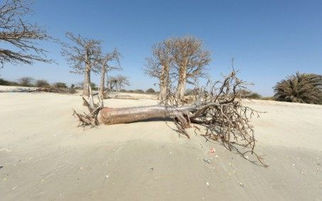 ONU alerta que mudança climática ameaça sobrevivência de milhões de africanos
