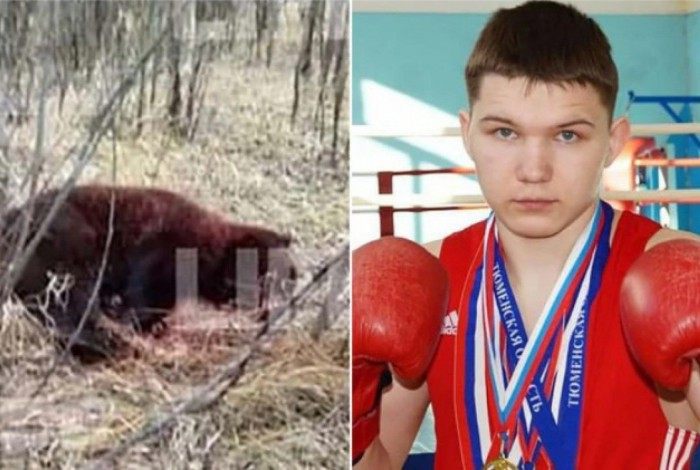 Boxeador russo está em estado grave após lutar contra urso