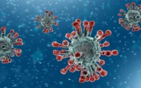 Brasil tem 442 mortes por Covid-19 em 24 horas