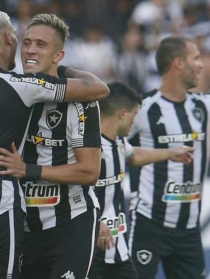 Matheus Frizzo e Rafael Navarro comemoram o gol que garantiu o Botafogo na S&eacute;rie A 