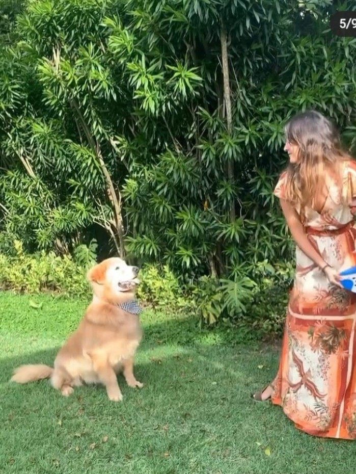 Bia Bonemer dividiu com os seguidores os momentos com o cachorro da família