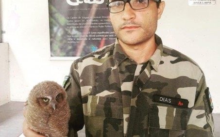 Agentes da Guarda Ambiental resgatam animais silvestres em Nova Iguaçu