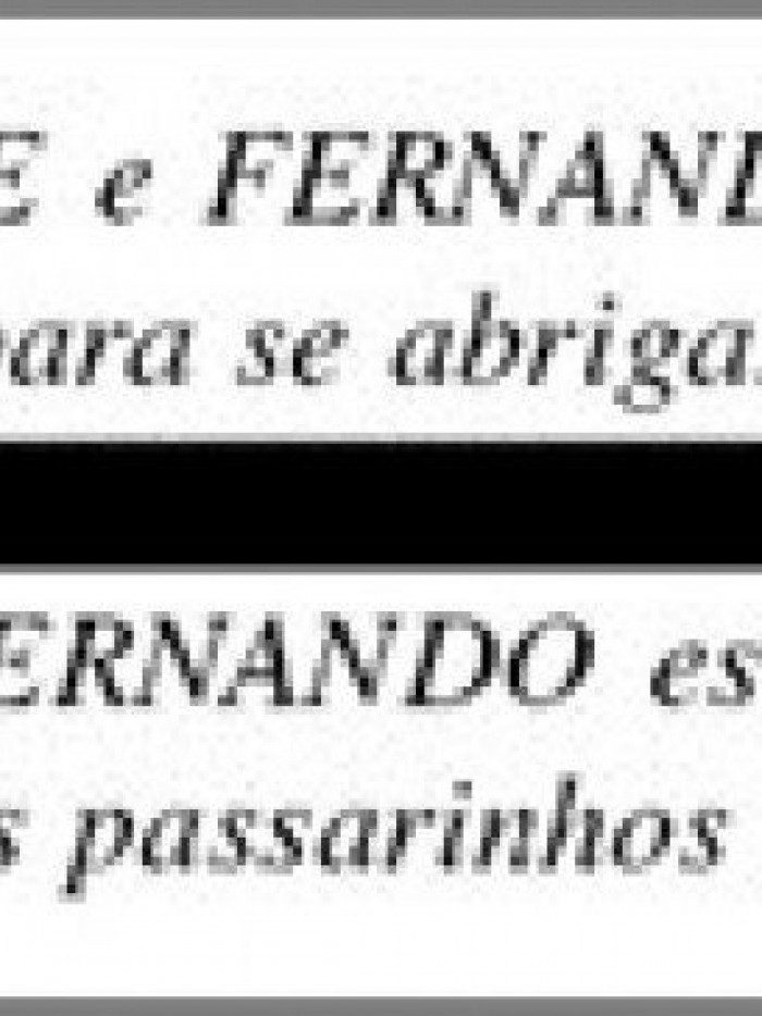 Testemunha diz que crian&ccedil;as estavam com gaiolas