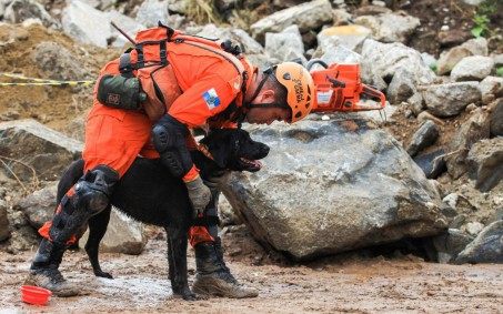 Cães do Corpo de Bombeiros conquistam certificações de busca e resgate