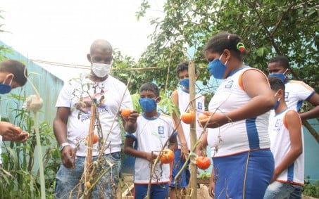 Projeto 'Horto na Escola' estreita relação de alunos de Nova Iguaçu com o meio ambiente