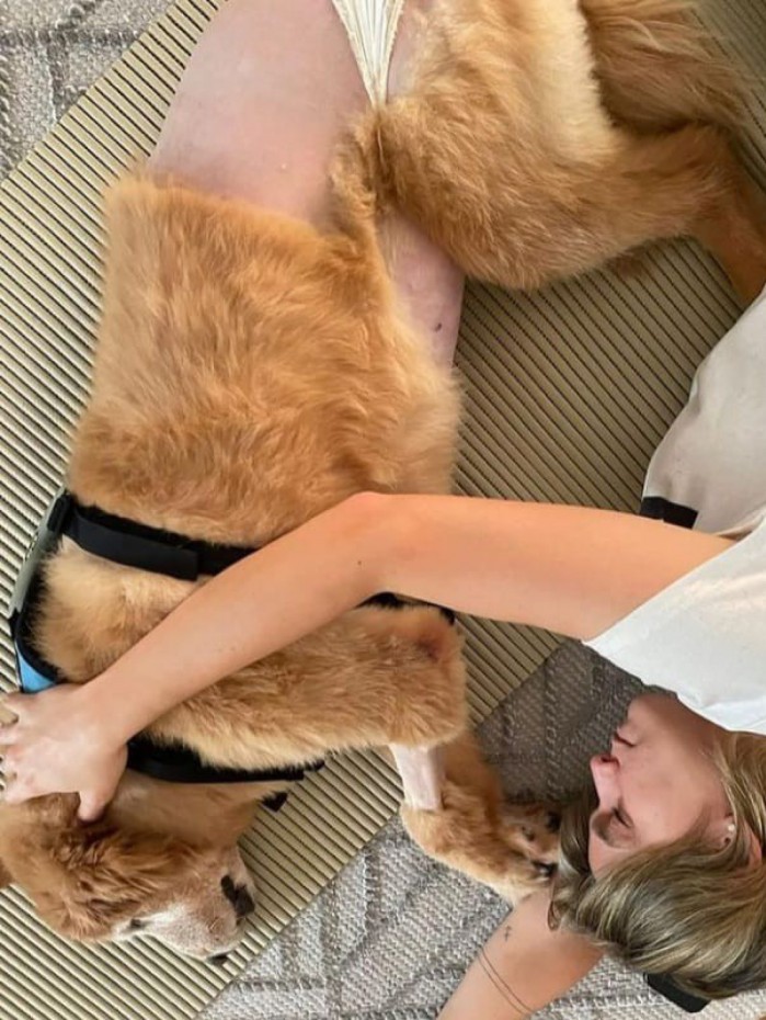 Fernanda Gentil desabafa sobre doença de sua cachorrinha