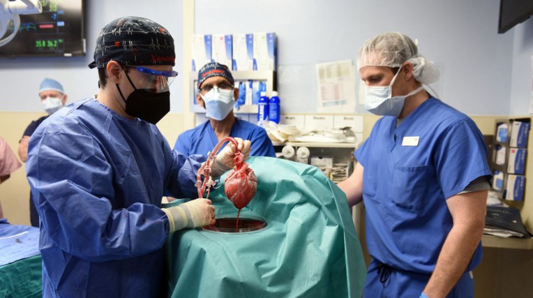 EUA: morre homem que recebeu primeiro transplante de coração de porco |  Mundo e Ciência | O Dia