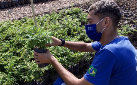 Novas mudas serão plantadas às margens do Rio Guandu, em Nova Iguaçu