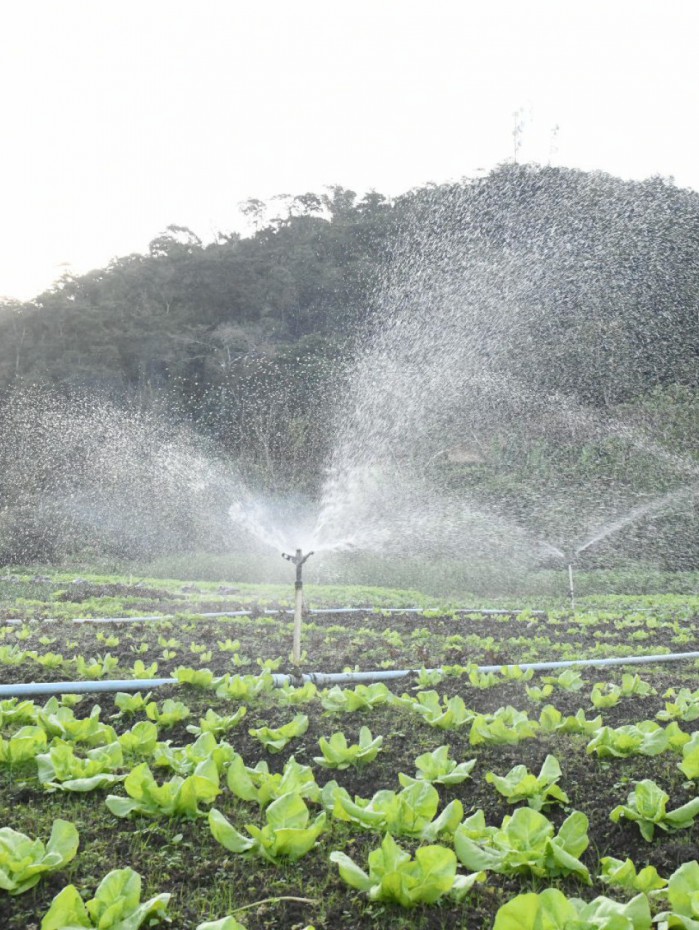 O cadastramento é muito importante porque o setor vai ter um banco de dados de produtores que podem ser beneficiados com uma série de iniciativas previstas no programa municipal.