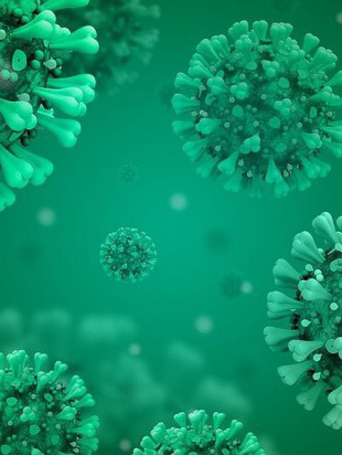 Novo coronav&iacute;rus