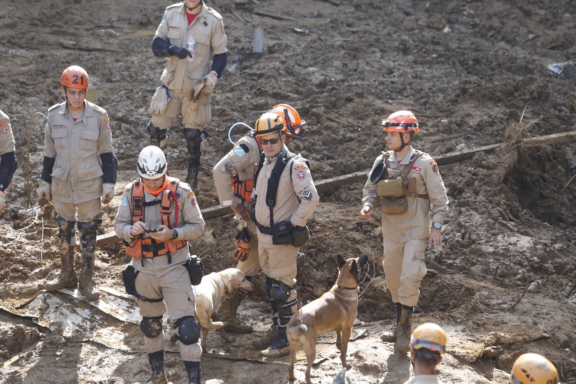 Bombeiros de Mato Grosso do Sul com cães em busca de vítimas no Morro da Oficina - Luis Alvarenga