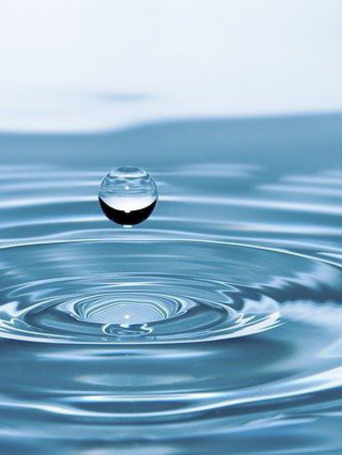 Dia Mundial da Água