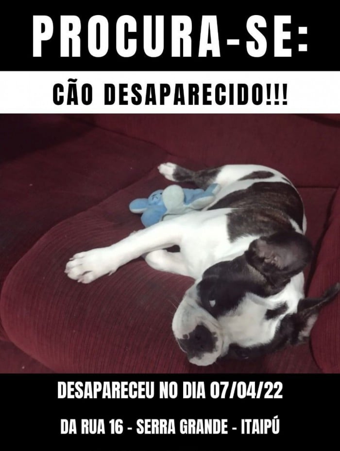 Fam&iacute;lia est&aacute; espalhando cartazes com a foto de Bradock nas redes sociais