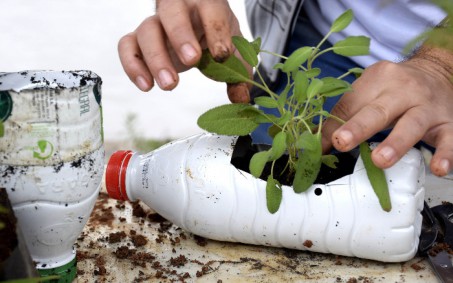 Projeto ambiental amplia estudos de matemática, ciências naturais e linguagens