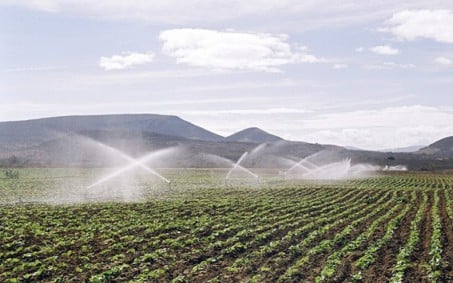Alerj vota amanhã proposta para criar Plano Estadual de Fertilizantes