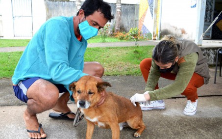Resende realiza campanha de vacinação antirrábica
