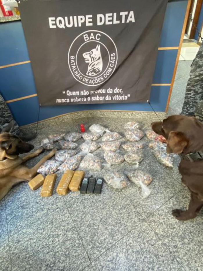 O Batalhão de Ações com Cães apreendeu drogas que ainda não foram contabilizadas