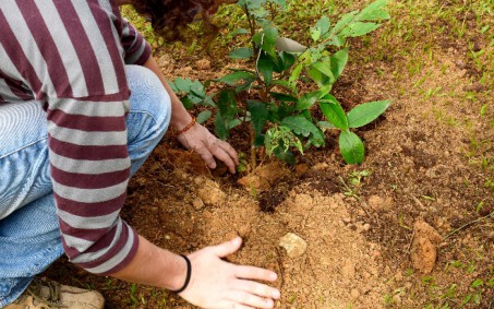 Resende comemora Semana do Meio Ambiente com atividades