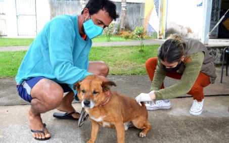 Resende realiza campanha de vacinação contra a raiva animal neste sábado