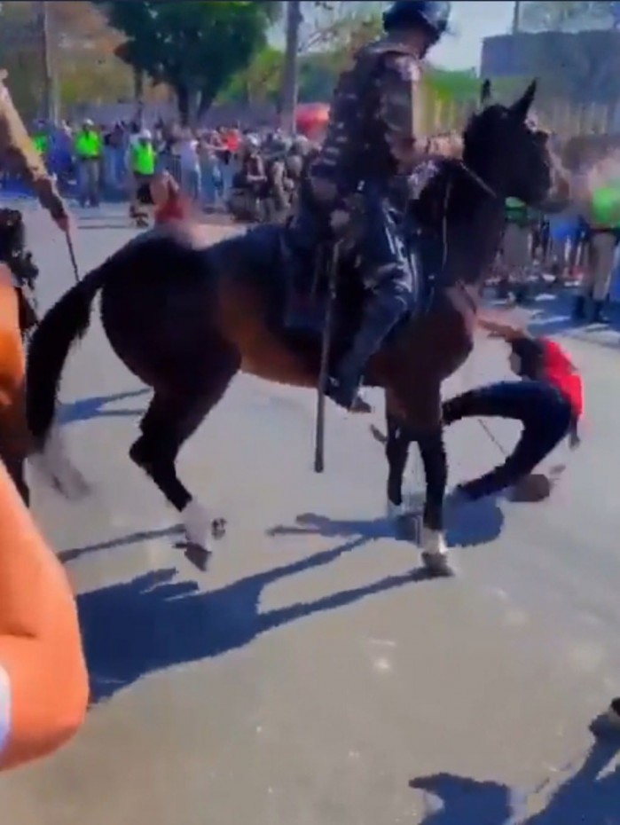 Cavalo da Polícia Militar derruba torcedor do Flamengo