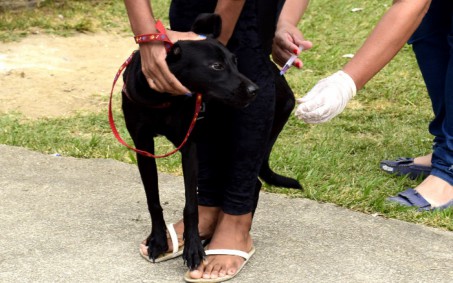 CCZ realiza vacinação antirrábica na área rural de Resende