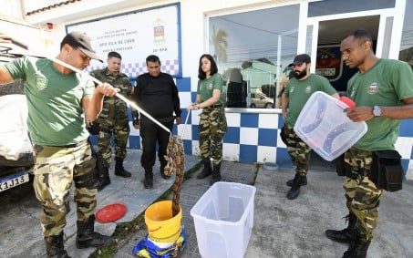Guarda Ambiental faz resgates de animais silvestres em ruas de Nova Iguaçu