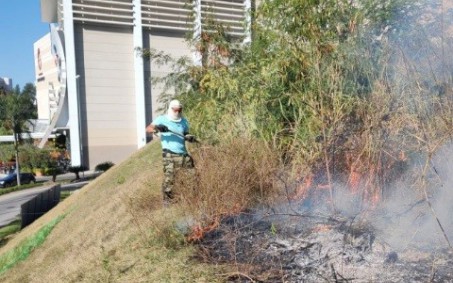 Guarda Ambiental combateincêndios em áreas de mata em Nova Iguaçu
