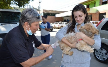 Resende realiza vacinação antirrábica na Capelinha e Serrinha