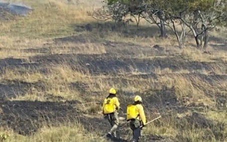 Guarda Ambiental controla incêndio em área de preservação em Nova Iguaçu