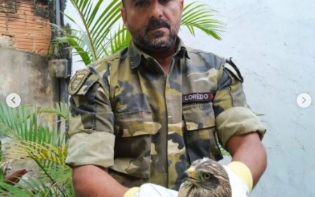 Guarda Ambiental resgata Gavião ferido em residência de Nova Iguaçu
