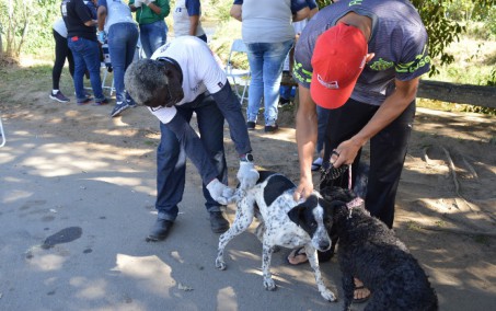 Resende realiza vacinação antirrábica na zona rural