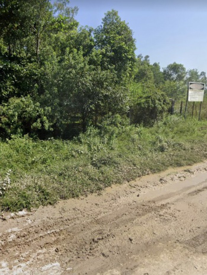 DUQUE DE CAXIAS ALCEU