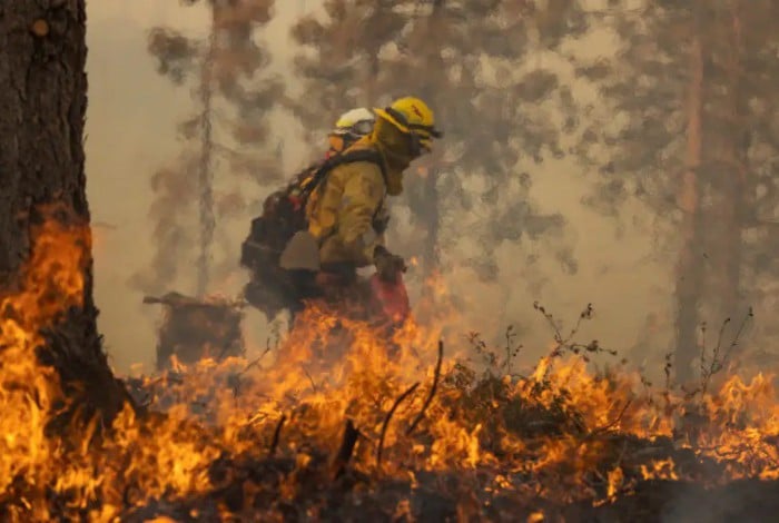 Bombeiros controlam parcialmente incêndio florestal na Califórnia 