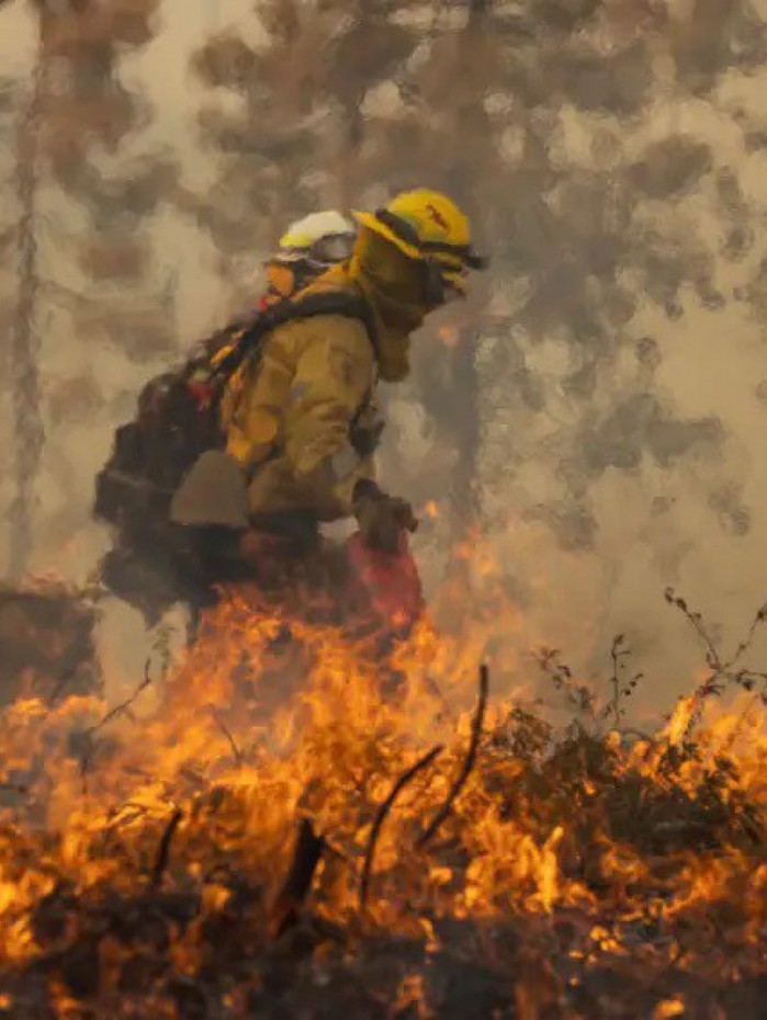 Bombeiros controlam parcialmente inc&ecirc;ndio florestal 
