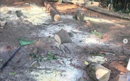 Guarda Ambiental apreende motosserra utilizada em corte de árvores ilegal em Nova Iguaçu