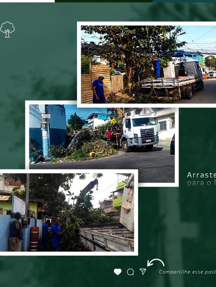 Poda de árvores em algumas regiões de São João de Meriti