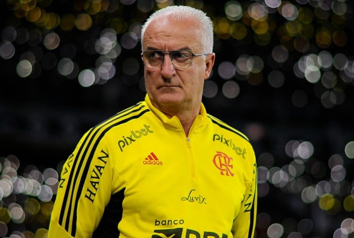 Dorival Júnior tem bons números pelo Flamengo