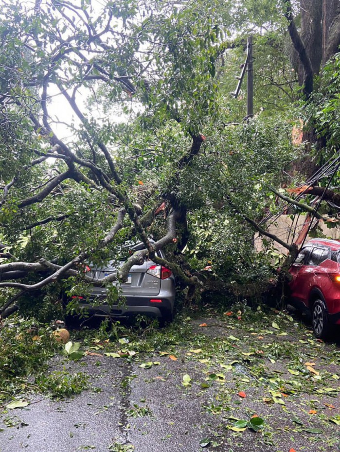 Carros atingidos pela &aacute;rvore que caiu na Rua Marqu&ecirc;s de S&atilde;o Vicente