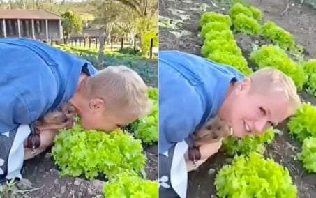 Xuxa aparece comendo alface da horta, Angélica brinca ao fundo: 'tá limpinho, bb?'