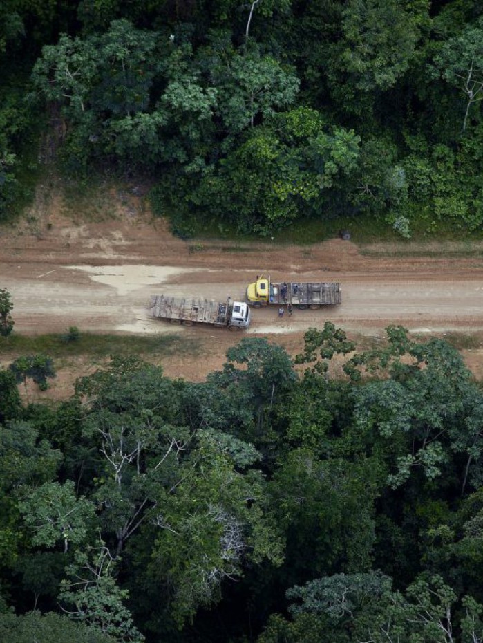 Em janeiro e fevereiro deste ano, 196 km&sup2; de mata foram devastados na maior floresta tropical do mundo, 63% a menos que no mesmo per&iacute;odo de 2023, quando a perda foi de 523 km&sup2;
