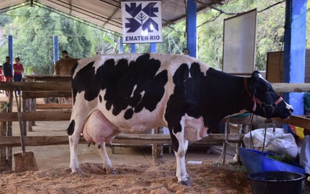 Vila da Fumaça retoma torneio leiteiro nesta semana