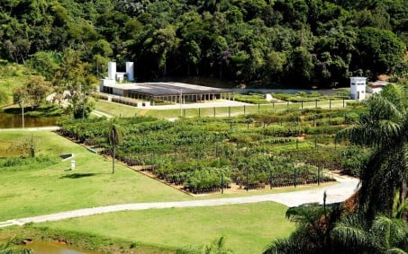 Viveiro florestal da Cedae recebe estudantes da UFFRJ