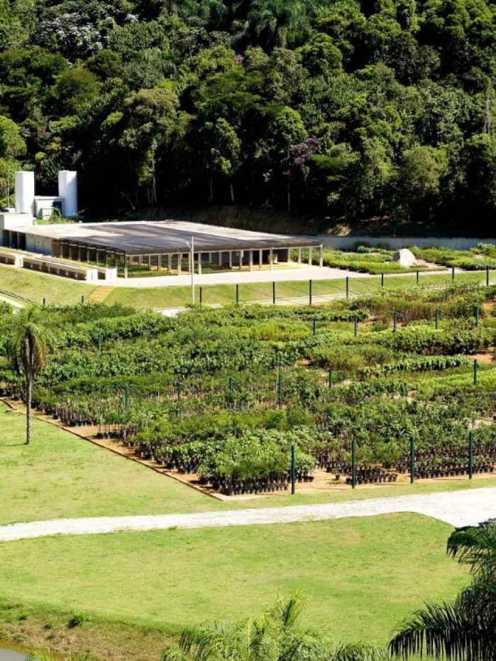 Viveiro Florestal Dorothy Stang