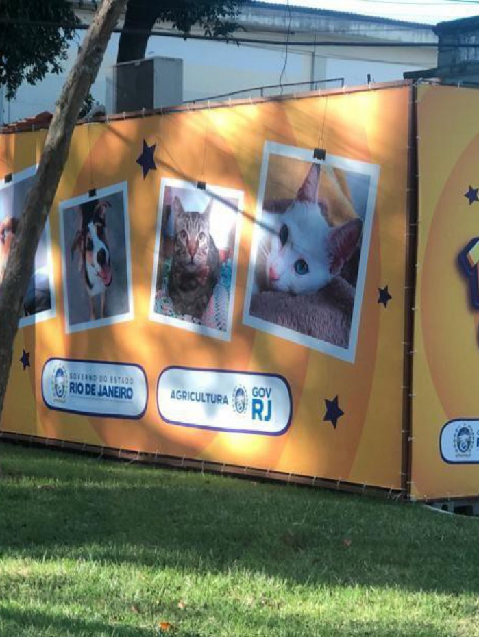 Castram&oacute;vel estar&aacute; em Campo Grande e em Santa Cruz, na pr&oacute;xima semana