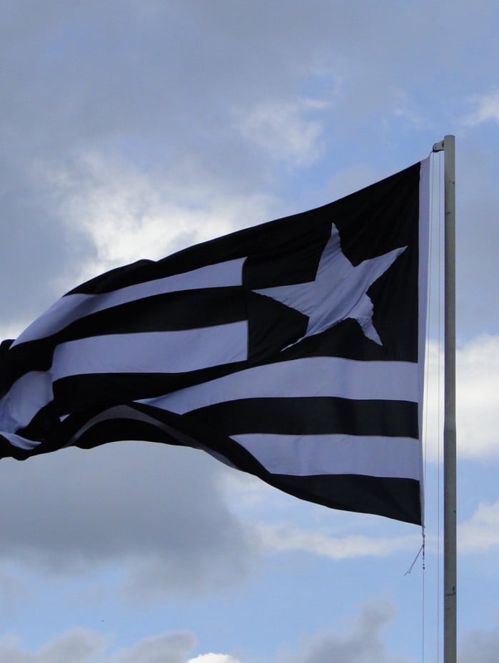 Bandeira do Botafogo