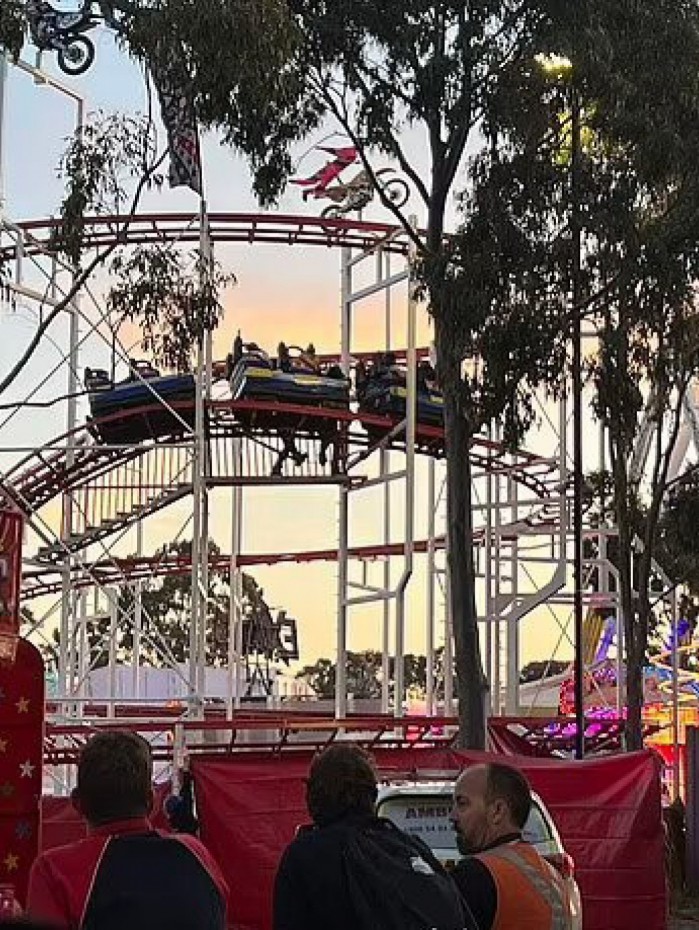 Jovem precisaria esperar cerca de 20 minutos para que os funcion&aacute;rios conseguissem coletar de forma segura