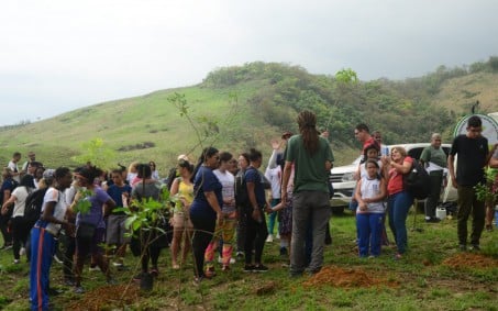Alunos com deficiência participam de reflorestamento em Nova Iguaçu