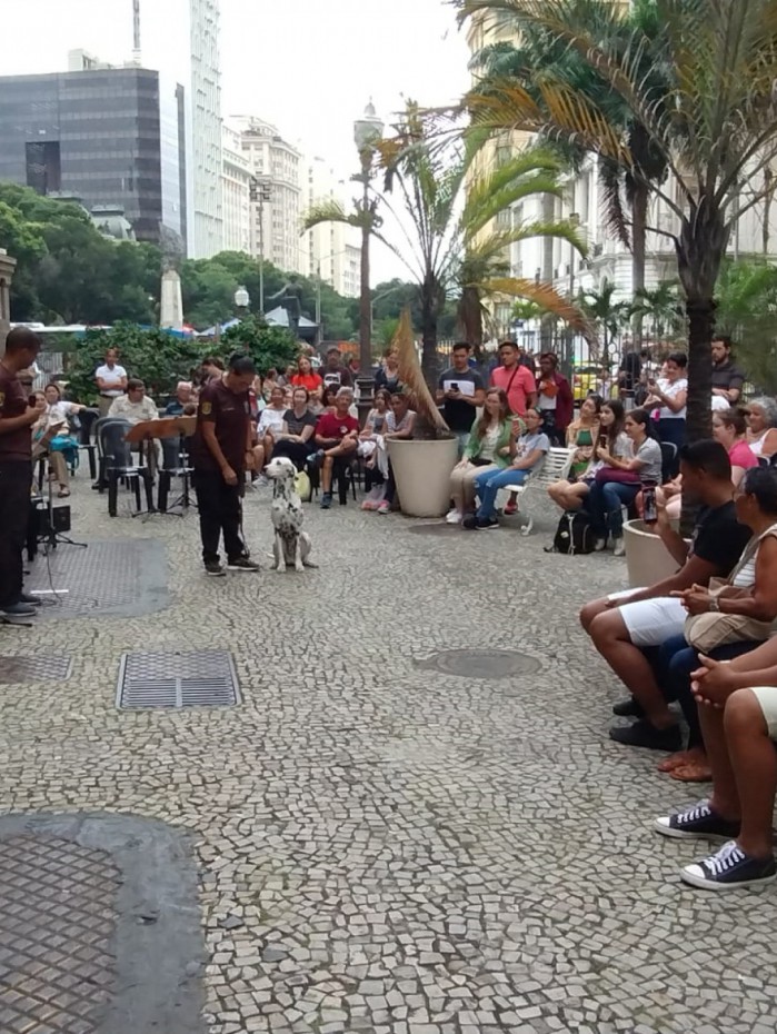 Demonstra&ccedil;&atilde;o com c&atilde;es