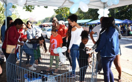 Resende realiza feira de adoção de animais
